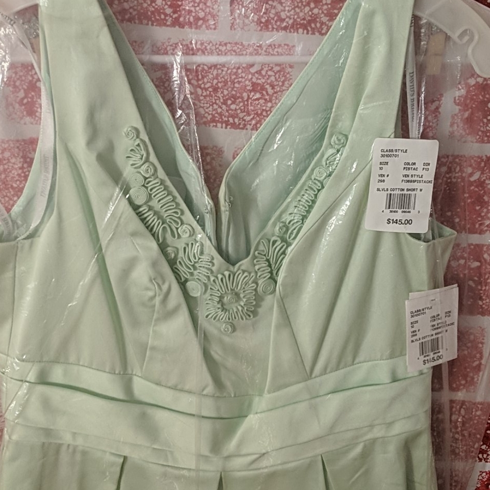 NWT David's Bridal Fit and Flare Dress